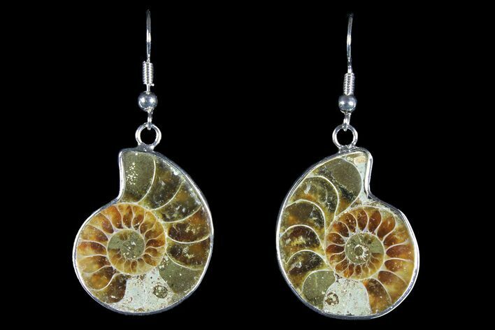 Fossil Ammonite Earrings - Million Years Old #152005